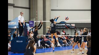 Celebrity 🔥 Volleyball Hitting Highlights | Salt Lake Showdown 🔥 Net Worth