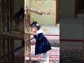 Little Angel Praying at Imam Hussain's Shrine | #Islamicshort #cutebaby #islamicvideo