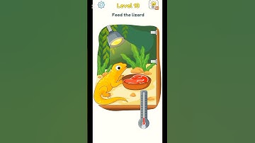 Feed the lizard 🦎 Dop 3 level 13 game