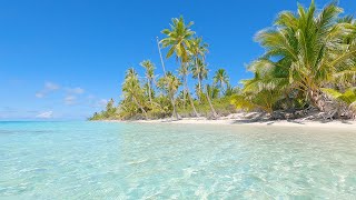 French Polynesia Tropical Island Background Video