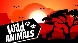 Wild Animals / Talking Flashcards