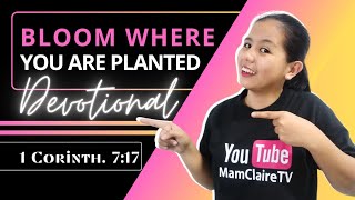 BLOOM WHERE YOU ARE PLANTED – Daily Devotional