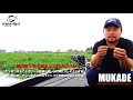 イチカワフィッシング『MUKADE』解説 の動画、YouTube動画。