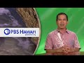Illegal Fireworks | KĀKOU: Hawaiʻi’s Town Hall