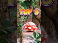 TOP 3 Sprookjes in het Sprookjesbos | Efteling | #efteling #top3 #shorts