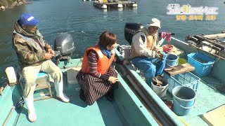 あなたの町におじゃまします～西彼長与町 舟津～【NCCトコトンHappyサタデー】