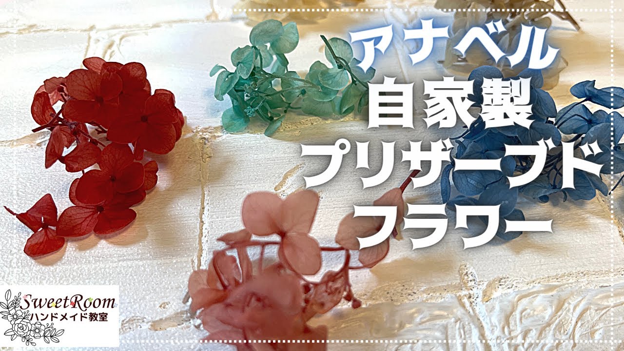 【待ちに待った！】アナベルを使うプリザーブドフラワーの作り方