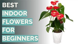 🌵 10 Best Indoor Flowers for Beginners (JM Bamboo, Costa Farms, and More)
