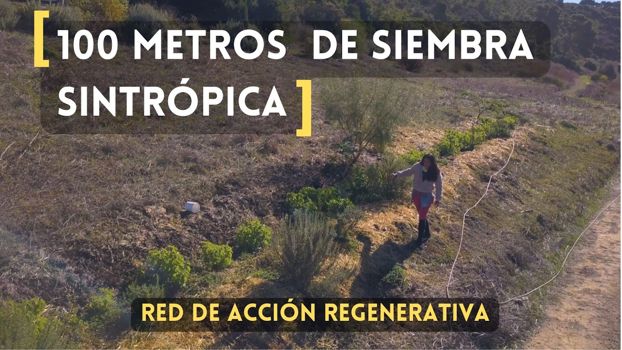 Siembra Sintrópica Regenerativa