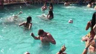 Xtreme Trips Pool Party