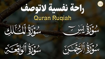 سورة يس❤️سورة الواقعة💛سورة الملك💚سورة الرحمن| سورالتحصين وزيادة الرزق والبركة بصوت هادئ مريح للقلب