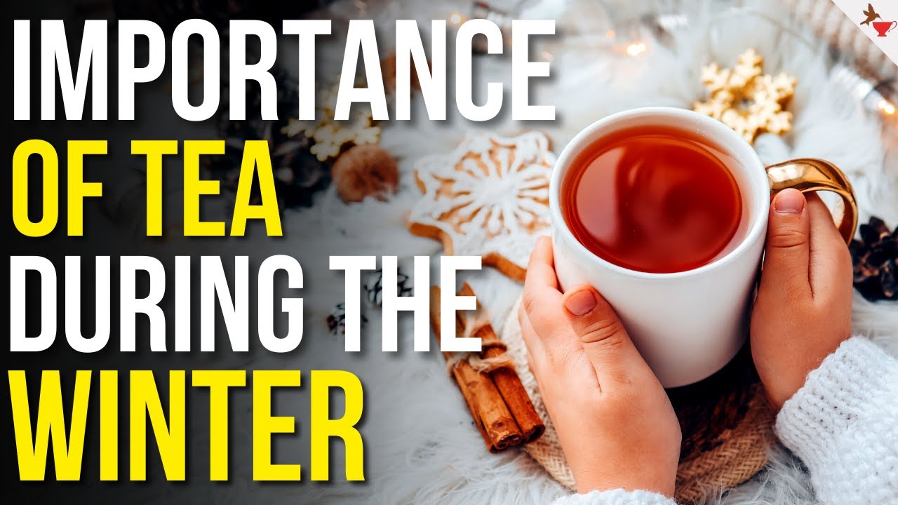 The Importance of Tea During Winter Months | Best Teas During the Winter