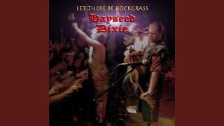 Watch Hayseed Dixie Feel Like Making Love video