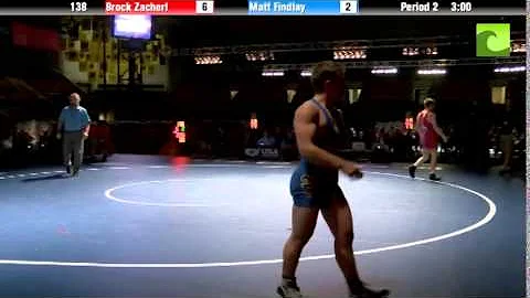 138 lbs. Finals - Brock Zacherl (PA) vs. Matt Findlay (UT)