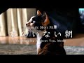 君のいない朝 | The Morning Without You, Momo | 猫好きさんと繋がりたい