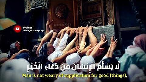 حالات واتس اب // لَّا يَسْأَمُ الْإِنسَانُ مِن دُعَاءِ الْخَيْرِ( القارئ رعد الكردي )