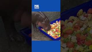 Famous FOX6 Evening news update Net Worth
