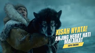 KISAH NYATA‼ Anjing Hebat Hati Malaikat #kisahnyata #reviewfilm