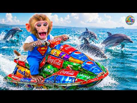 Monyet Mono Berhasil Membuat Jet Ski dari Barang Bekas dan Menyelamatkan Anak Monyet dari Tsunami