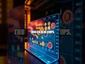 Solid Ground A Short Guide to Smart Crypto Bets
