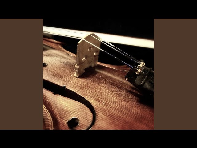 AntiqueViolin