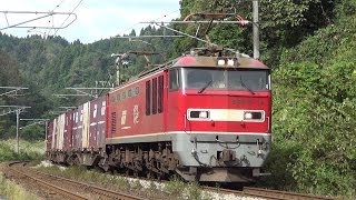 信越本線 貨物 EF510-14 4093レ 長鳥- 塚山