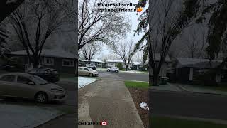 #canada #travel #saskatoon #shortvideos #fyp #fy #viral #feel #summer #trending #stream #fypシ゚viral