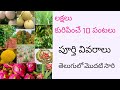 Top 10 cash crop in agriculture telugu