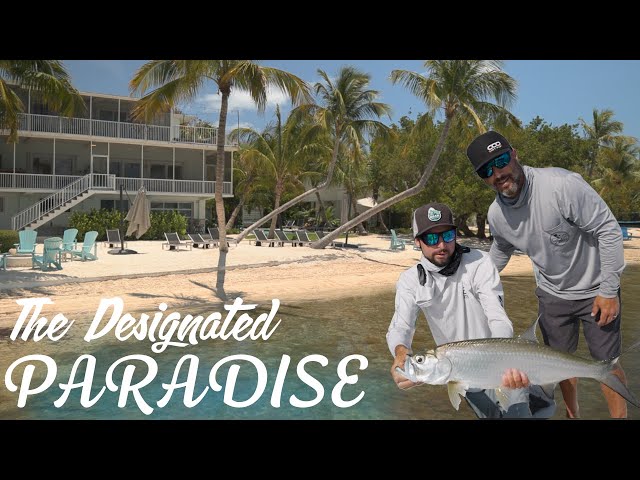 🌴 The Designated Paradise – A Florida Keys Escape 🐟 - YouTube