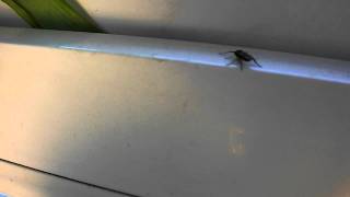 DSCF1672