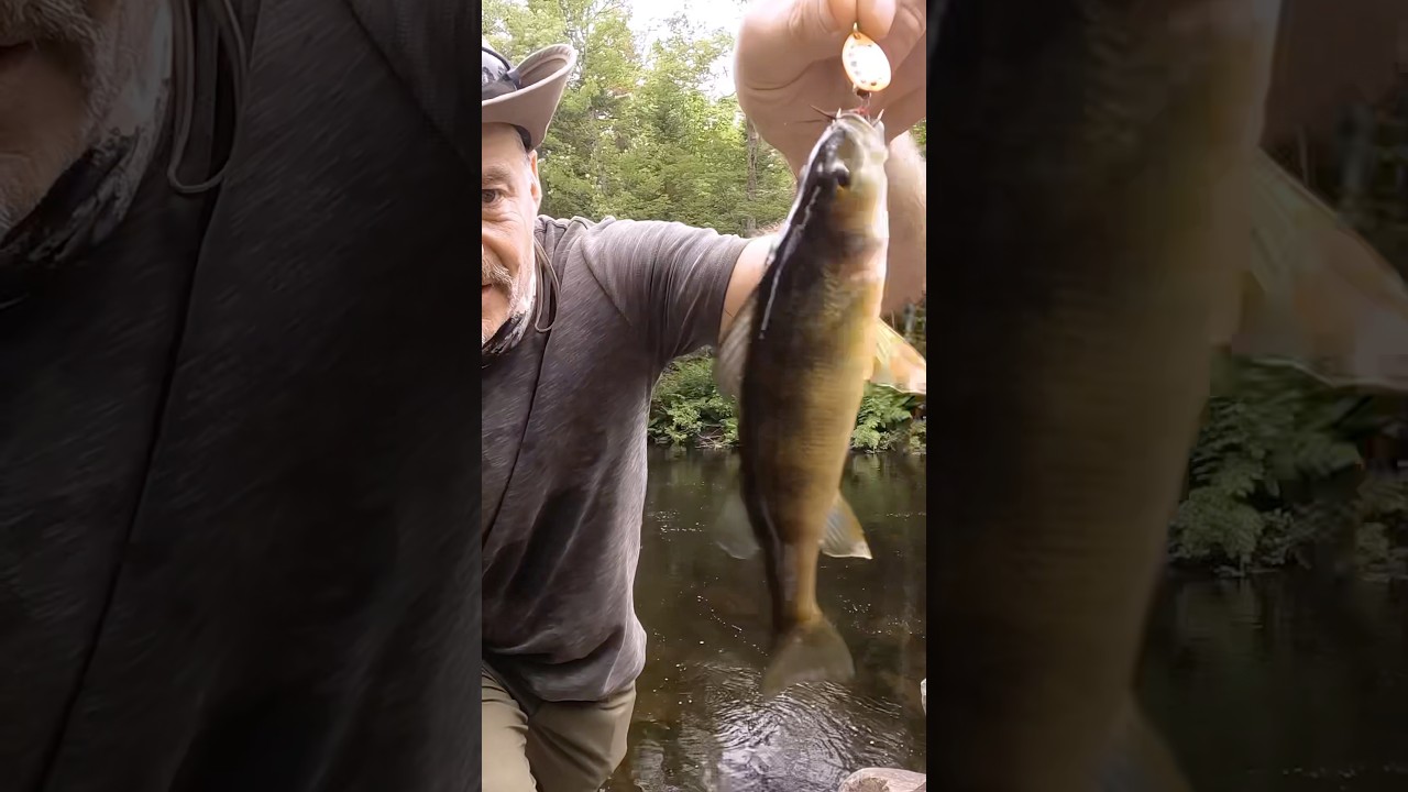 En attendant ma prochaine sortie complète…