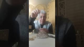 Informal how it's done psychometry workshop reading objects with Rev Lyn Gibb-de Swarte