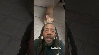 Famous Magic Johnson’s Son/Daughter Out & About! #flyhiproductionz #goals #content #chimein #real2reel Profile