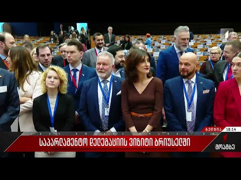 საპარლამენტო დელეგაციის ვიზიტი ბრიუსელში