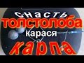 Универсальная снасть на карпа,толстолоба, карася и не только