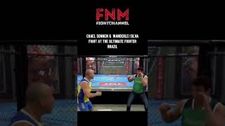 Coaches Fight At Reality Tv Show The Ultimate Fighter