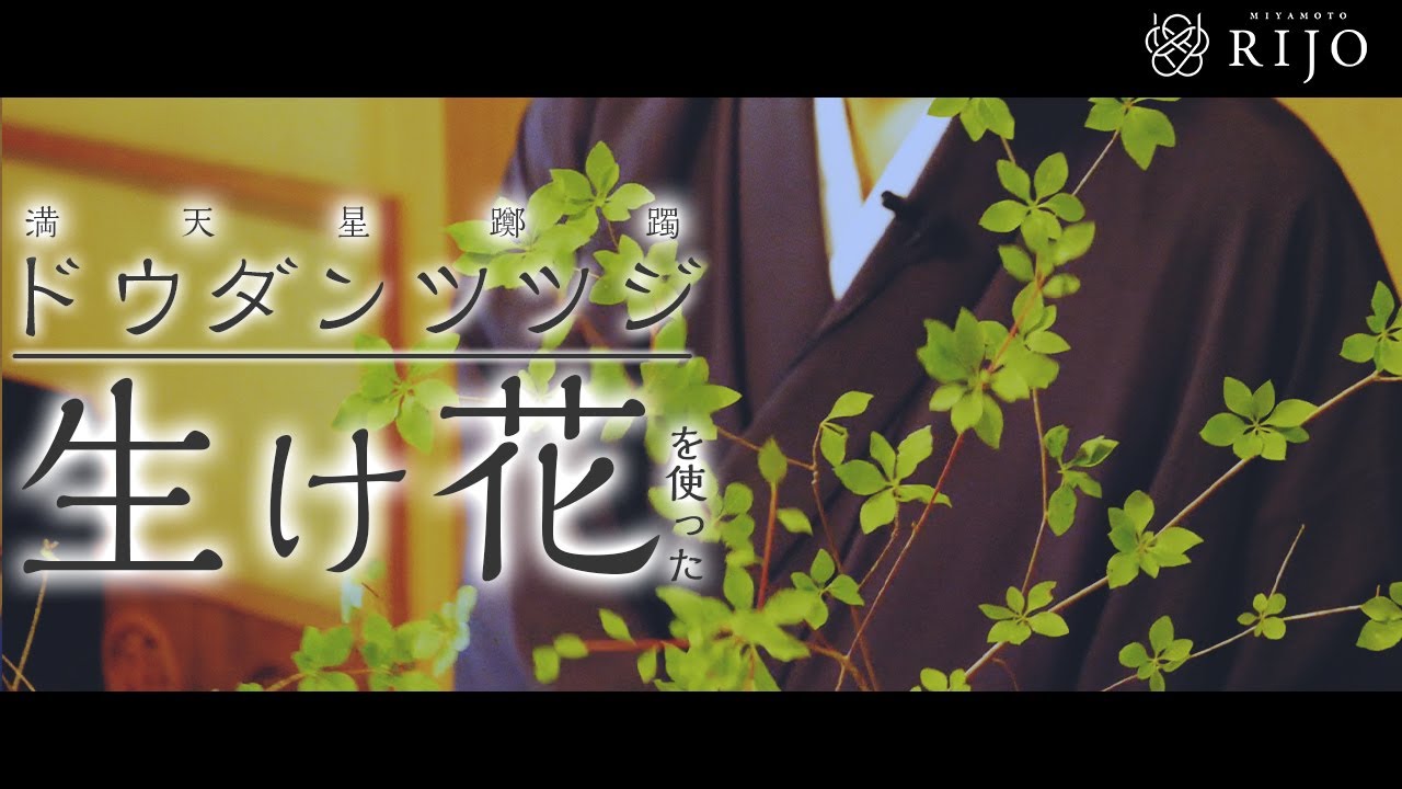 ドウダンツツジ（満天星躑躅）の生け花をご紹介します！【Ikebana】華道家 宮本理城の生け花レッスン。