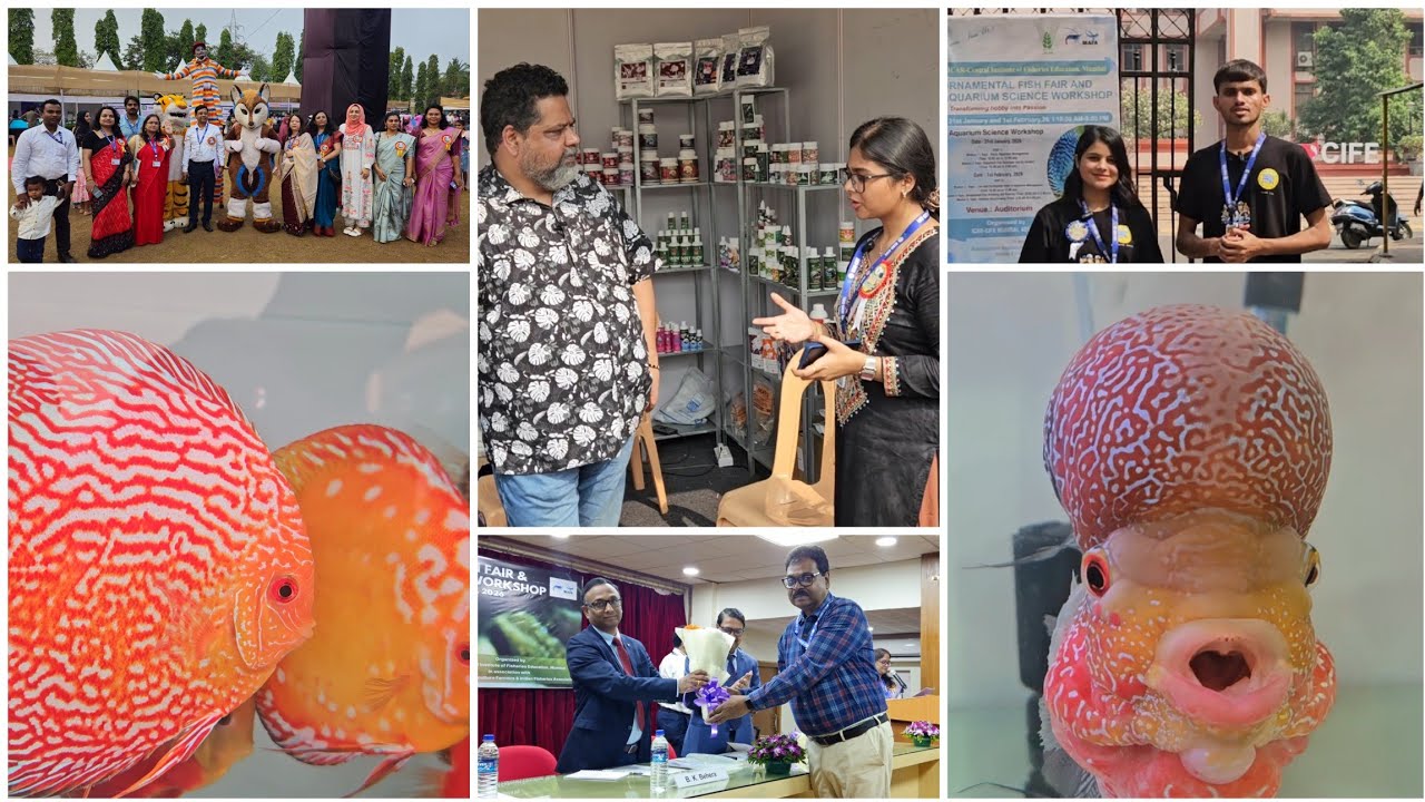 ICAR-CIFE Mumbai Ornamental fish fair inauragation and stall intro part 2