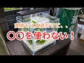 【メダカの死なない飼い方】メダカの主な死因と室内の水槽で飼育するコツ