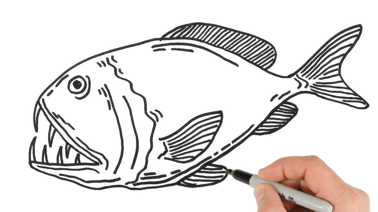 Sea fish sketch isolated icons Royalty Free Vector Image