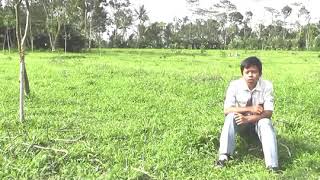 Download Mp3 Yogi Alfian - Sebuah Lagu Untukmu Gudang lagu Download Mp3 Yogi Alfian - Sebuah Lagu Untukmu