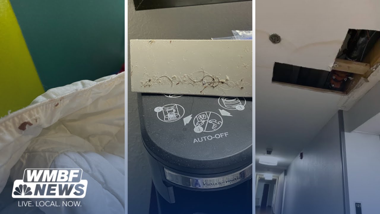 ‘Beyond disgusting’: No inspections to prevent dirty hotel rooms in ...
