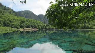 سورة قريش من القرآن الكريم للقارئء: يحيى حوى