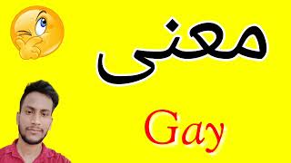 معنى Gay | معنى كلمة Gay | معنى Gay في اللغة العربية | ماذا يقول Gay باللغة العربي