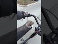 Dog Won't Let Owner Pedal Bicycle
