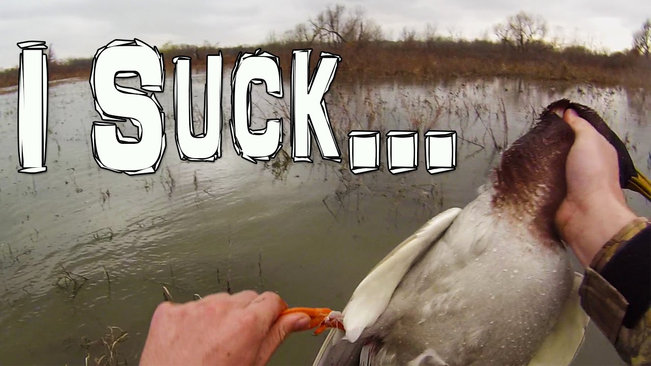Suck a Duck 