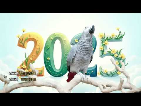 <strong>Happy</strong> <strong>new</strong> year 🎉