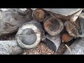 Chainsaw carving how to get good wood