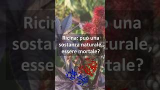 Ricina: può una sostanza naturale essere mortale?