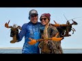 MAINE LOBSTER Catch Clean and Cook ( Free DIVING with GREAT White SHARKS)